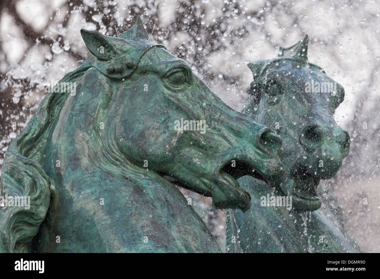 Capi di due cavalli, fontana figure, Fontaine Carpeaux o Fontaine de l'Observatoire fontana, Jardin Marco Polo Park Foto Stock