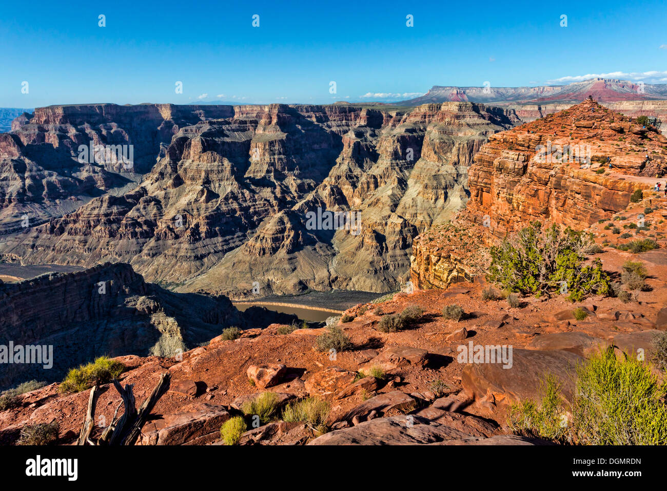 West Rim del Grand Canyon. Foto Stock