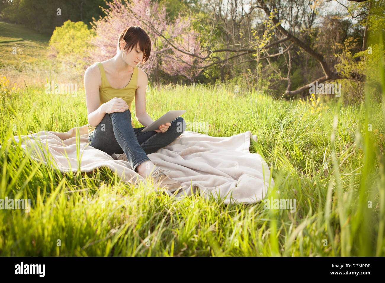 Una giovane donna seduta in un campo su una coperta, la lettura da una tavoletta digitale. Foto Stock