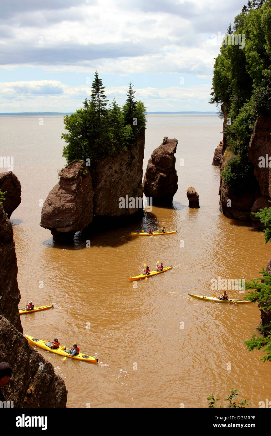 Hopewell Rocks, fiume di cioccolato, Baia di Fundy, New Brunswick, Canada Foto Stock