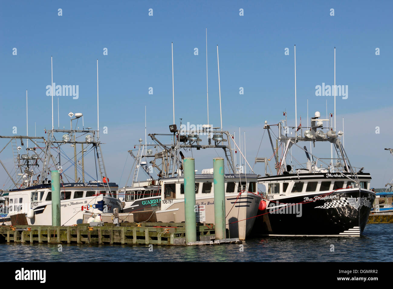 La flotta di pesca al molo, Digby, Baia di Fundy, le province marittime, Nova Scotia, Canada Foto Stock