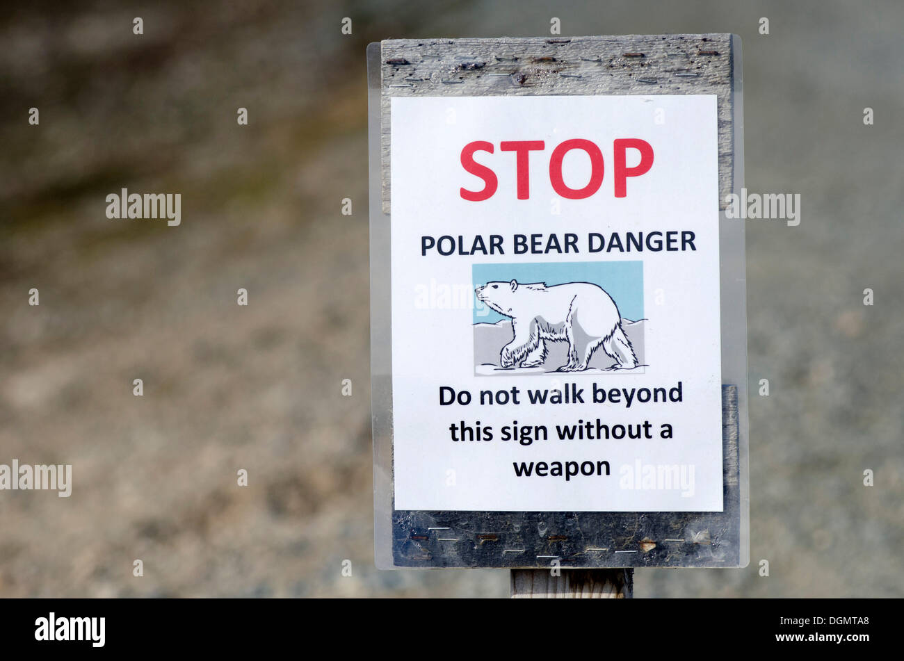 Orso polare in segno di avvertimento, Kongsfjorden, a Ny Ålesund, isola Spitsbergen, arcipelago delle Svalbard Isole Svalbard e Jan Mayen, Norvegia Foto Stock