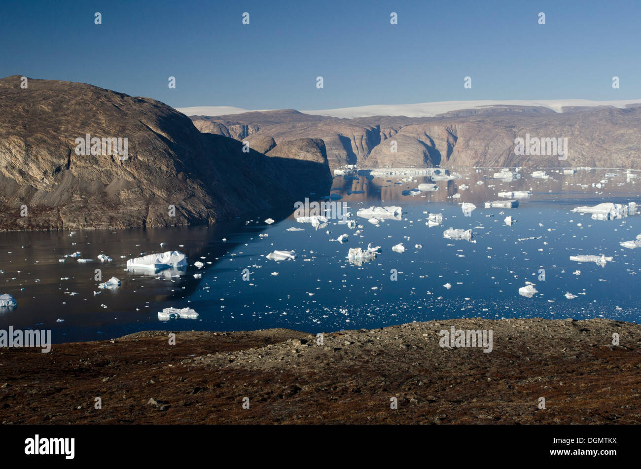 Iceberg nel fiordo di Nordvestfjorden, groenlandese calotta di ghiaccio nella parte posteriore, Scoresbysund, Nordost-Grönland-Nationalpark Foto Stock