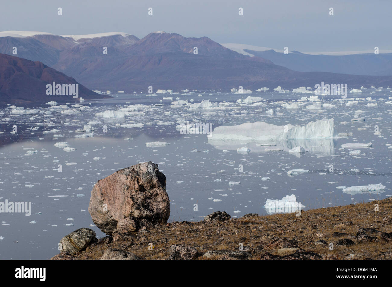 Paesaggio roccioso dell isola di Sorte Øer di fronte vaganti iceberg, Rødefjord, Scoresbysund, Sermersooq, Groenlandia Foto Stock