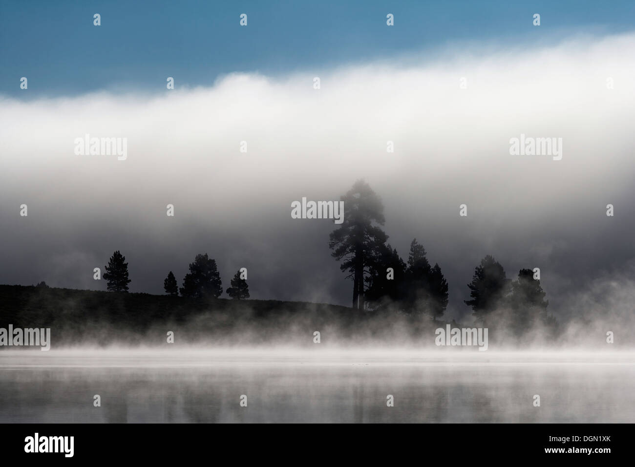 Stati Uniti d'America, il lago in Nazionale Forrest Foto Stock