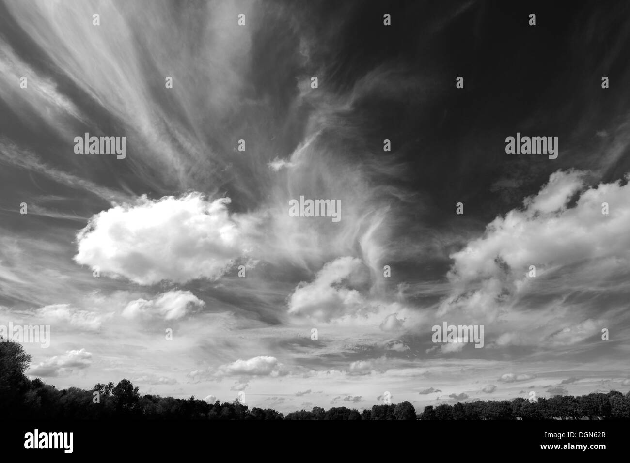 Cumulus humilis nubi in un profondo cielo blu Foto Stock