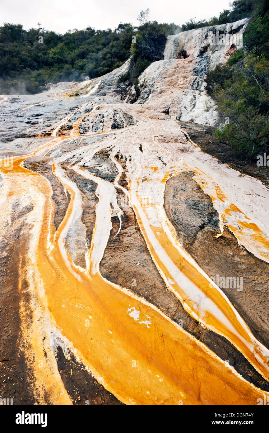 Il sito di origine vulcanica di Orakei Korako, vicino a Taupo, Nuova Zelanda Foto Stock