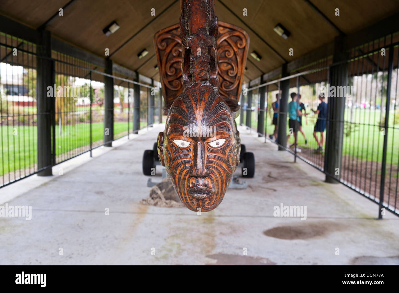 Rotorua, Nuova Zelanda. tradizionale Maori canoe da guerra chiamato Te Arawa, con Polena, costruito da Lyonel concedere nel 1989. Foto Stock