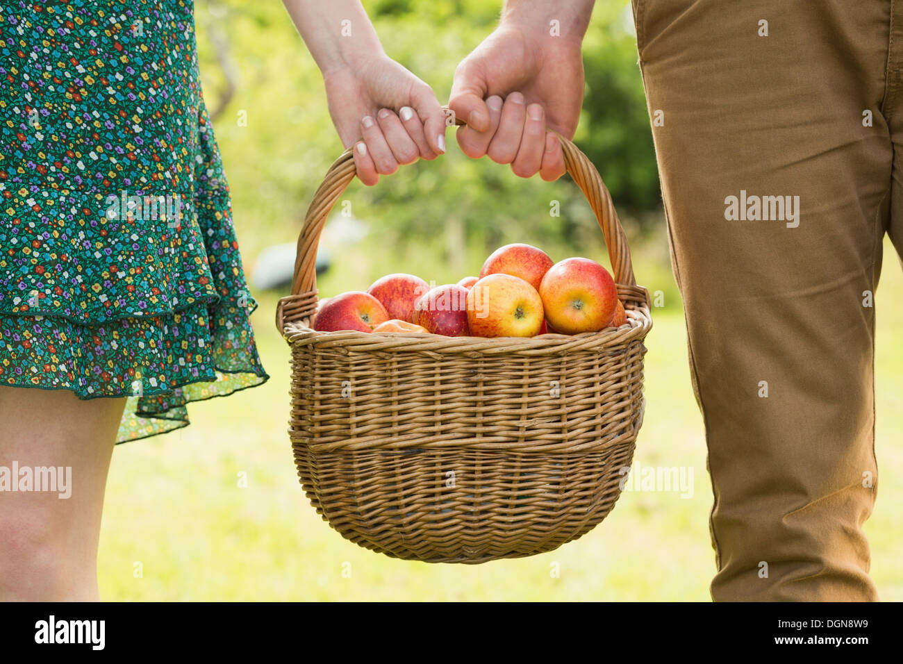 Cesto di mele essendo portato da una giovane coppia Foto Stock