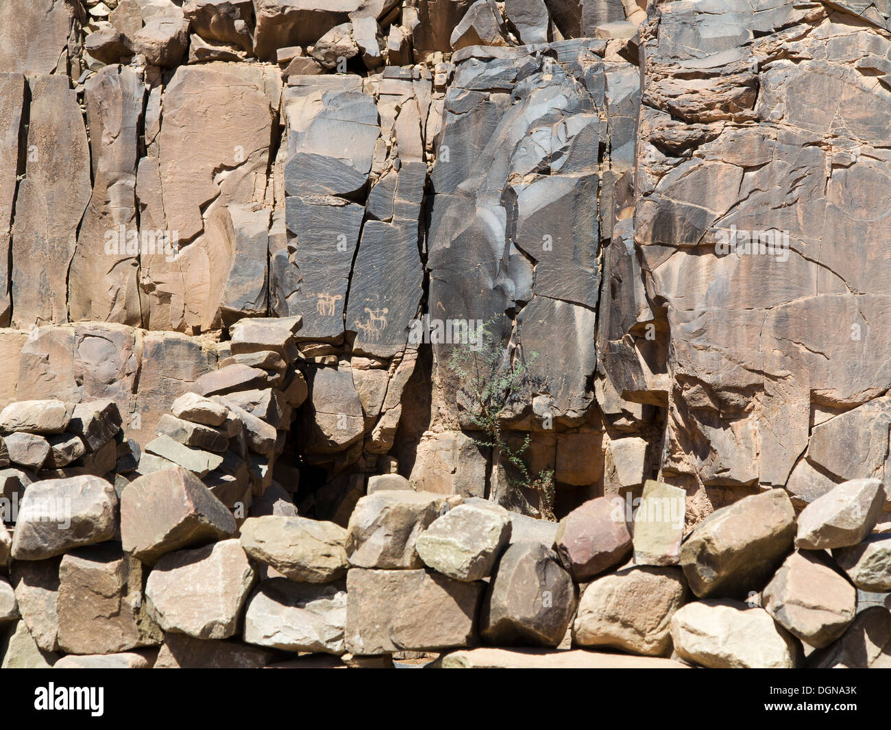 Antica rock-arte presso Jerf el Khil sulla strada dal Agdz a Zagora nella Valle del Draa, Marocco, Africa del Nord Foto Stock