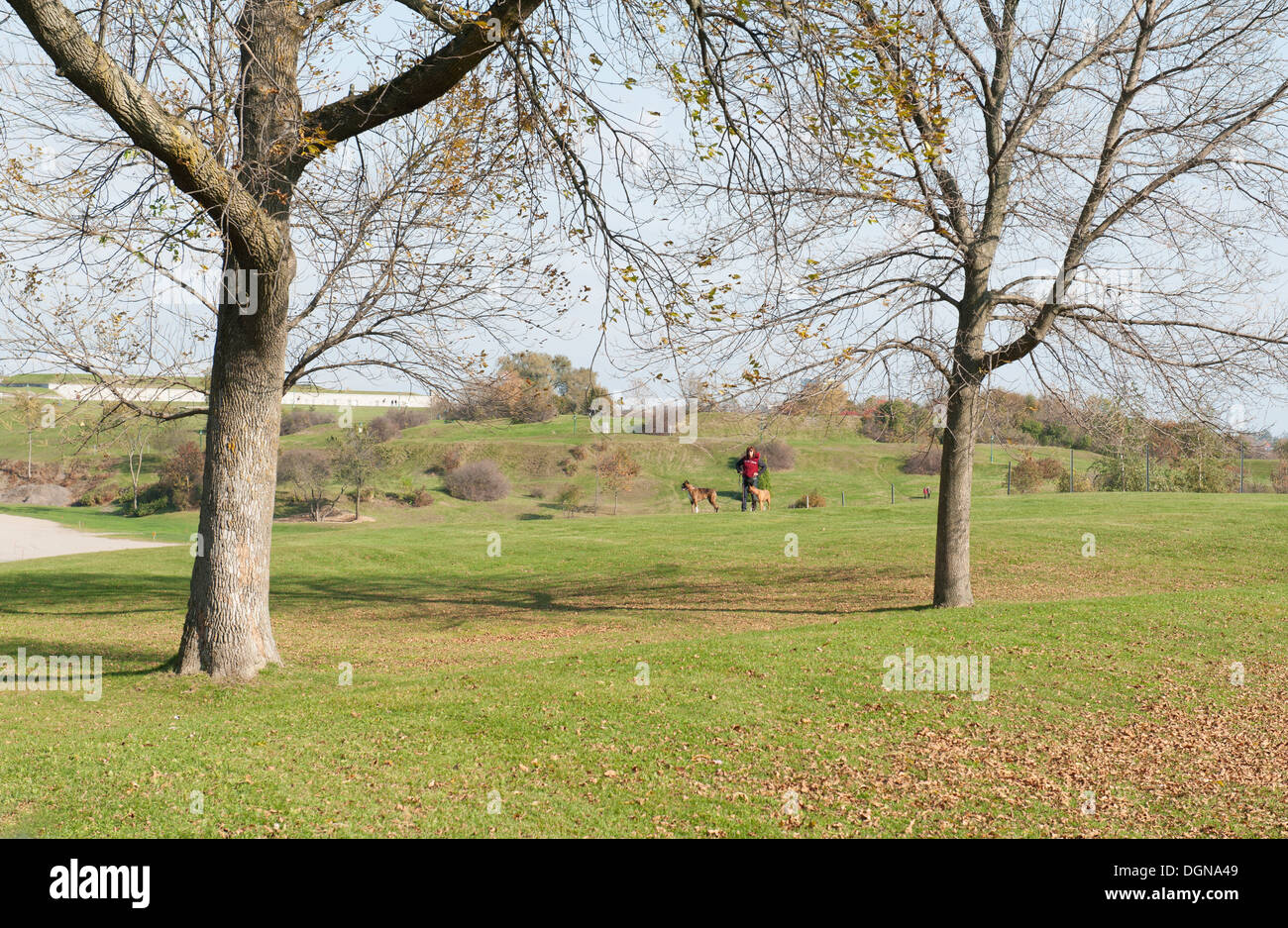 Le Pianure di Abramo in Quebec City dove Gen. Wolfe sconfitto Gen. Montcalm in una feroce battaglia sul Sett. 13, 1759 ora è un parco. Foto Stock