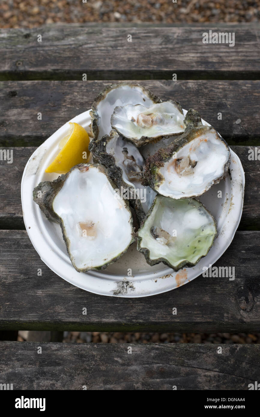 Piastra vuota di gusci di ostriche con il limone e tabasco Foto Stock