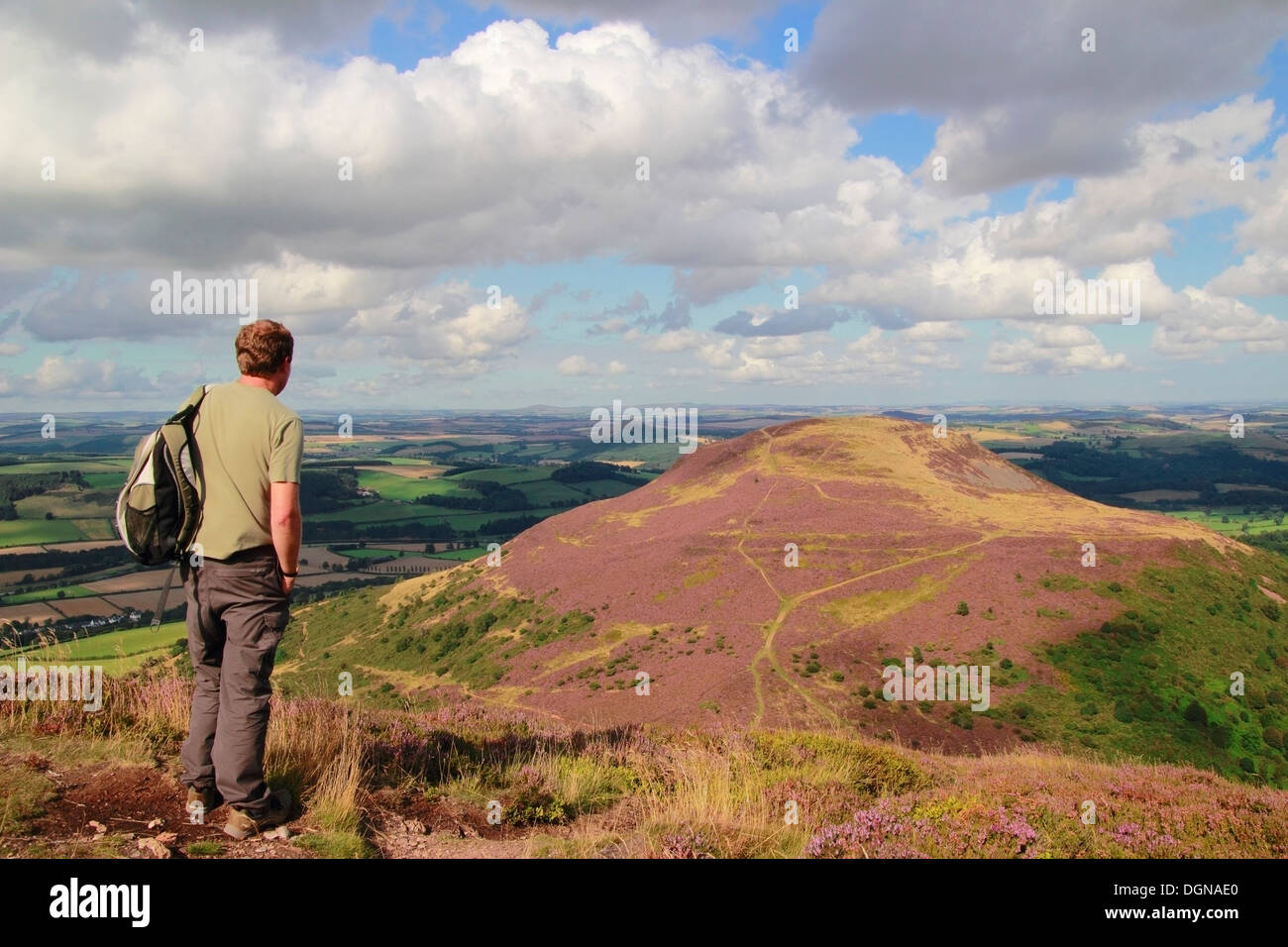 Il camminatore caucasico guardando verso nord Eildon Hill, Eildon Hills, frontiere, Scotland, Regno Unito modello rilasciato Foto Stock