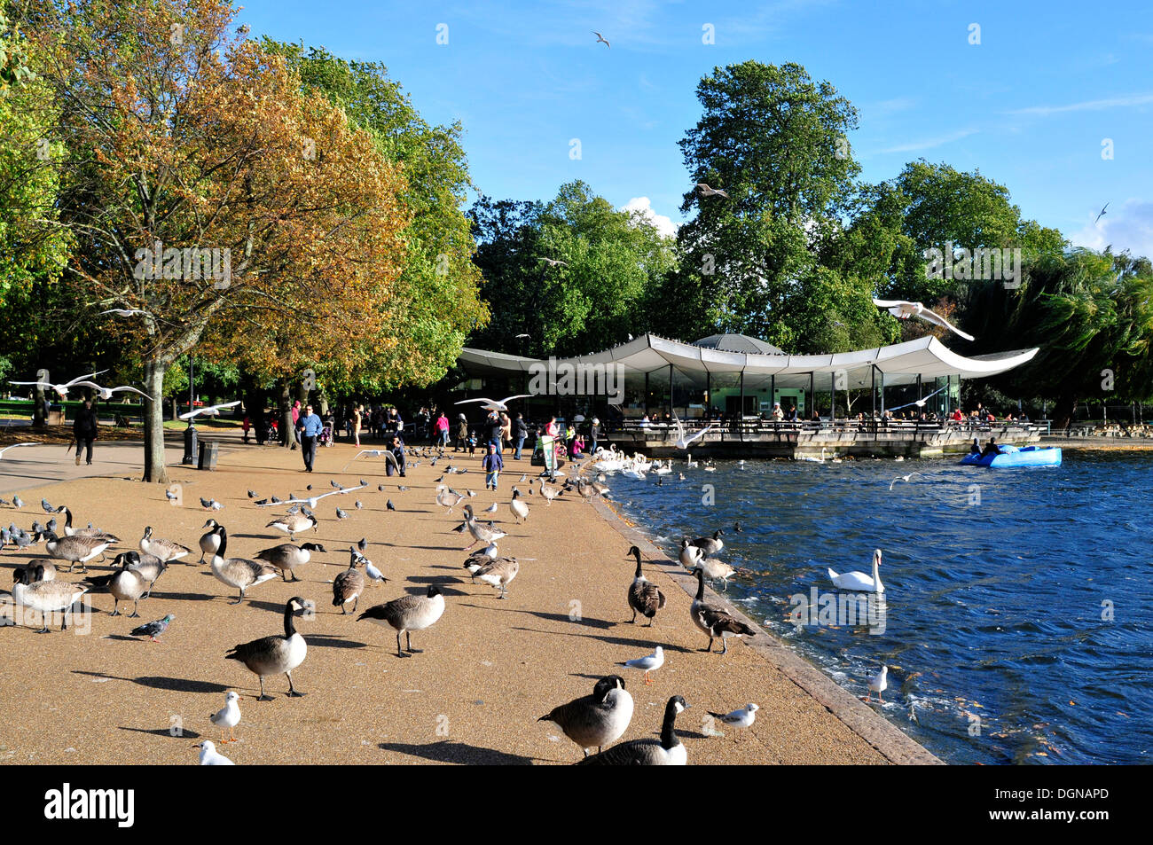 Una vista generale di Hyde Park, London, Regno Unito Foto Stock