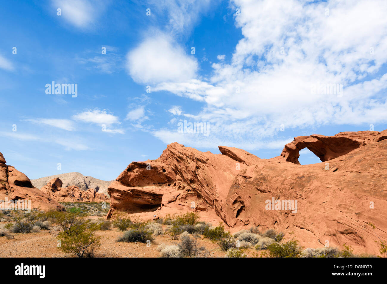 Arch Rock, la Valle del Fuoco del parco statale, a nord di Las Vegas, Nevada, STATI UNITI D'AMERICA Foto Stock