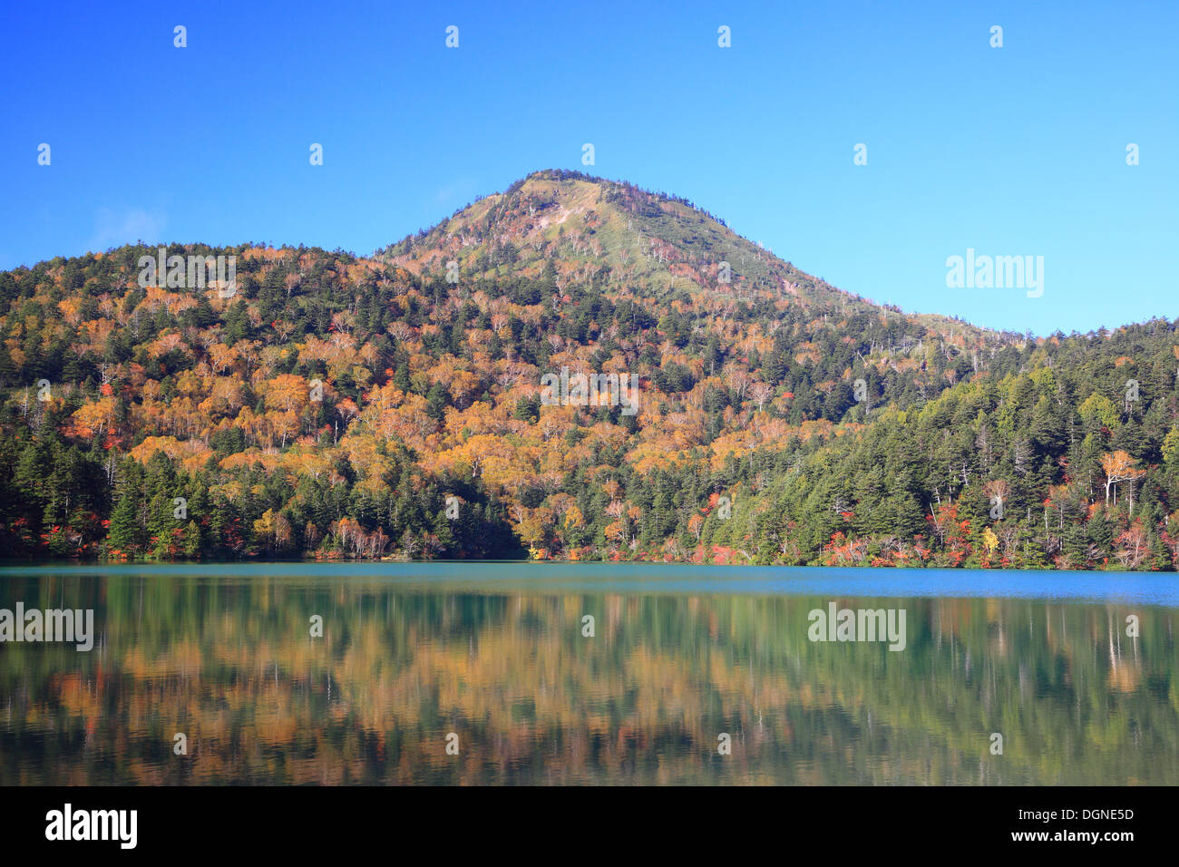 Montagna e stagno in autunno, altopiano di Shiga, Nagano, Giappone Foto Stock