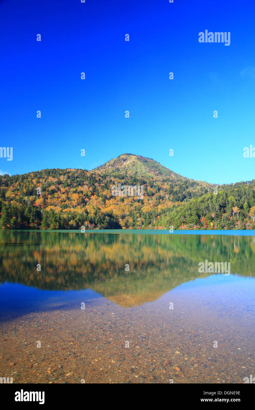 Montagna e stagno in autunno, altopiano di Shiga, Nagano, Giappone Foto Stock