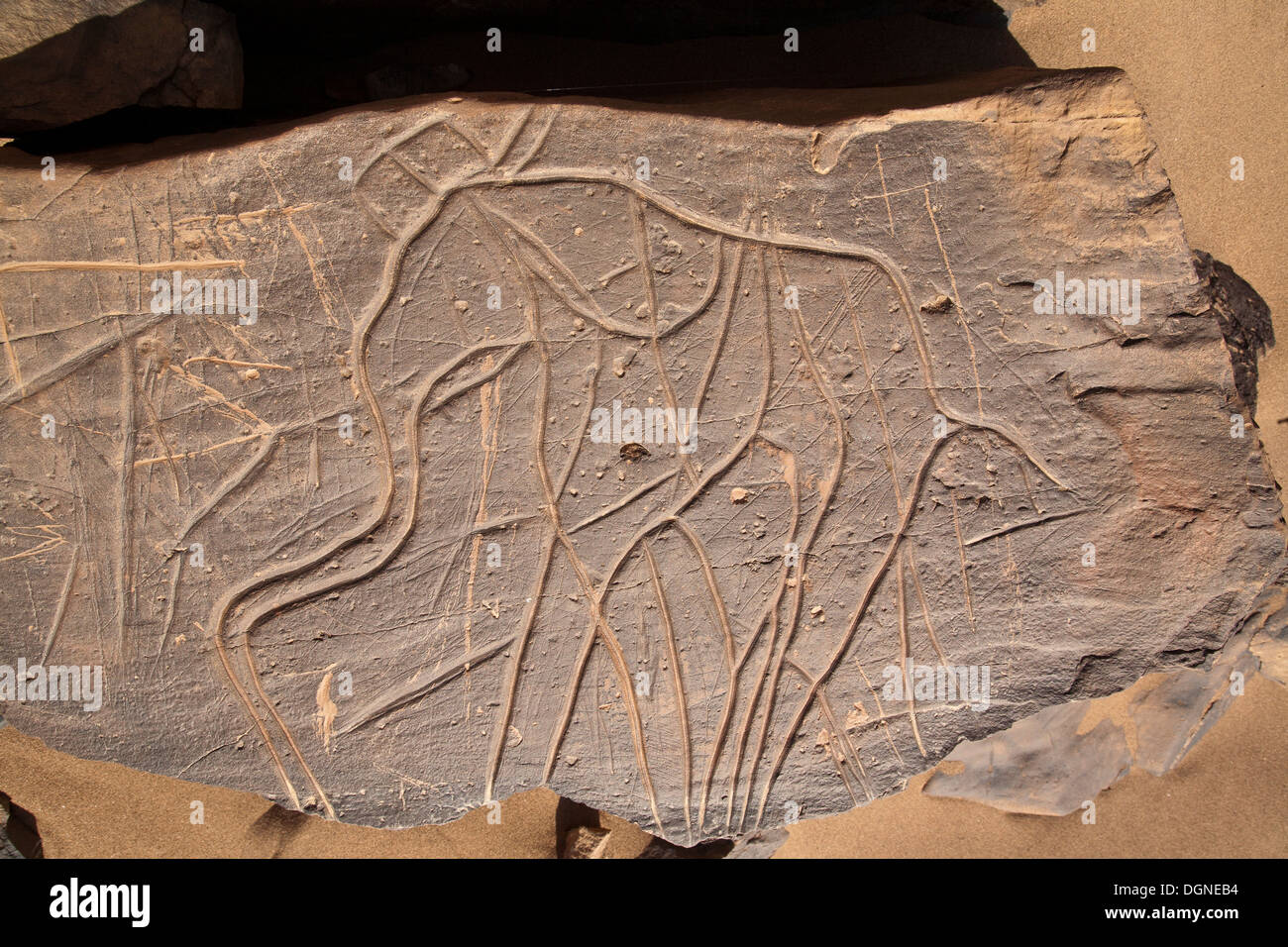 Preistoria le incisioni rupestri a Oued Mestakou sulla Tata ad Akka road in Marocco. rock-art Foto Stock