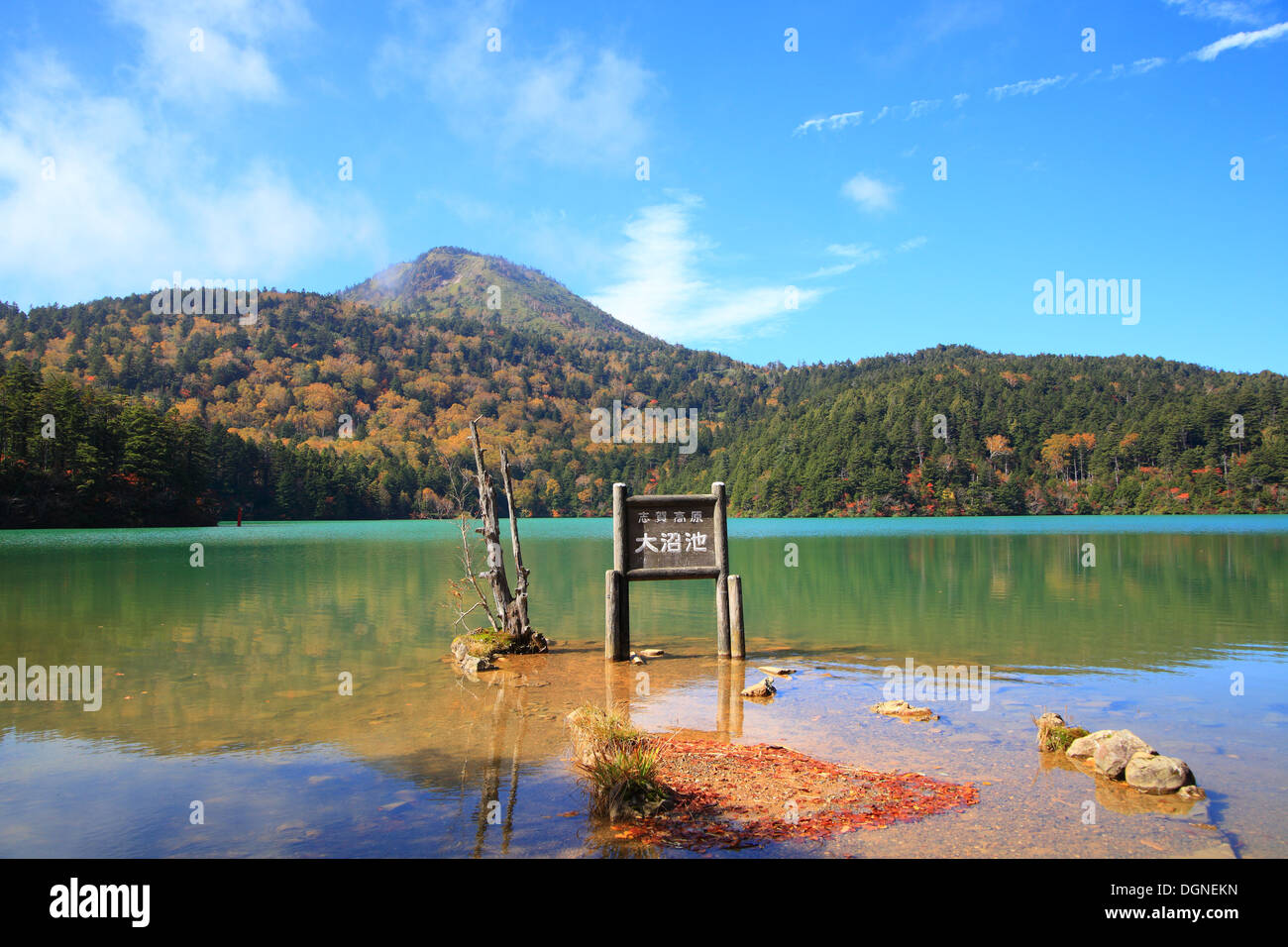 Montagna e stagno in autunno, altopiano di Shiga, Nagano, Giappone Foto Stock