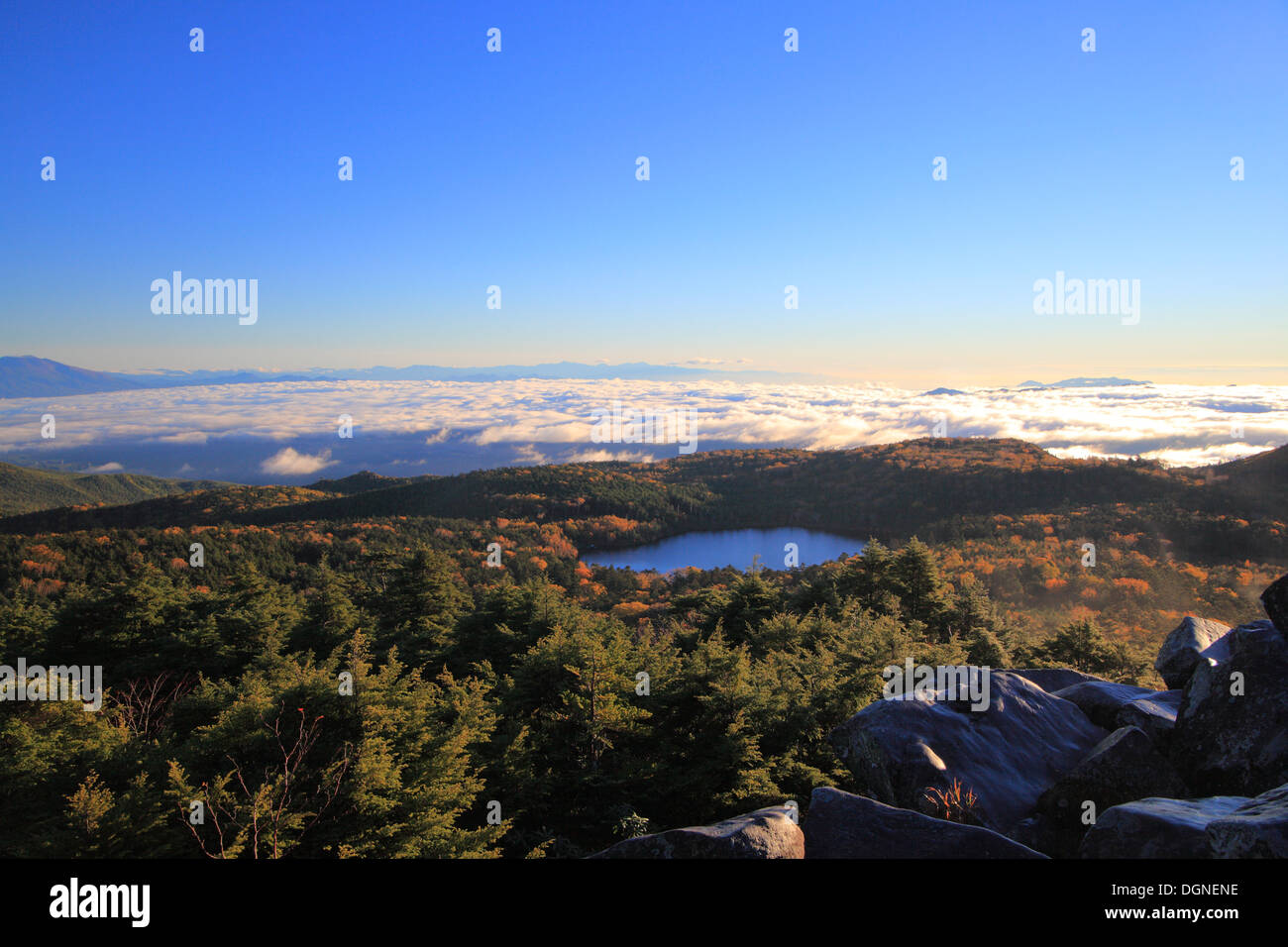 Stagno nella foresta, altopiano Yachiho Shirakoma pond, Nagano, Giappone Foto Stock