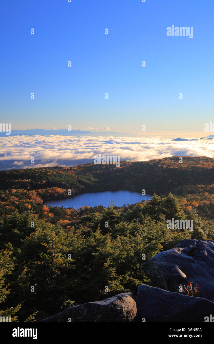 Stagno nella foresta, altopiano Yachiho Shirakoma pond, Nagano, Giappone Foto Stock