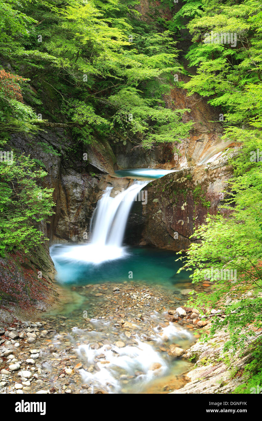 Fresco verde e cascata, Nishizawa Valley, Yamanashi, Giappone Foto Stock