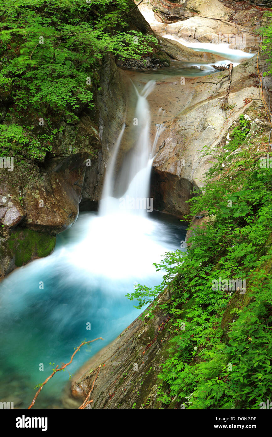 Fresco verde e cascata, Nishizawa Valley, Yamanashi, Giappone Foto Stock