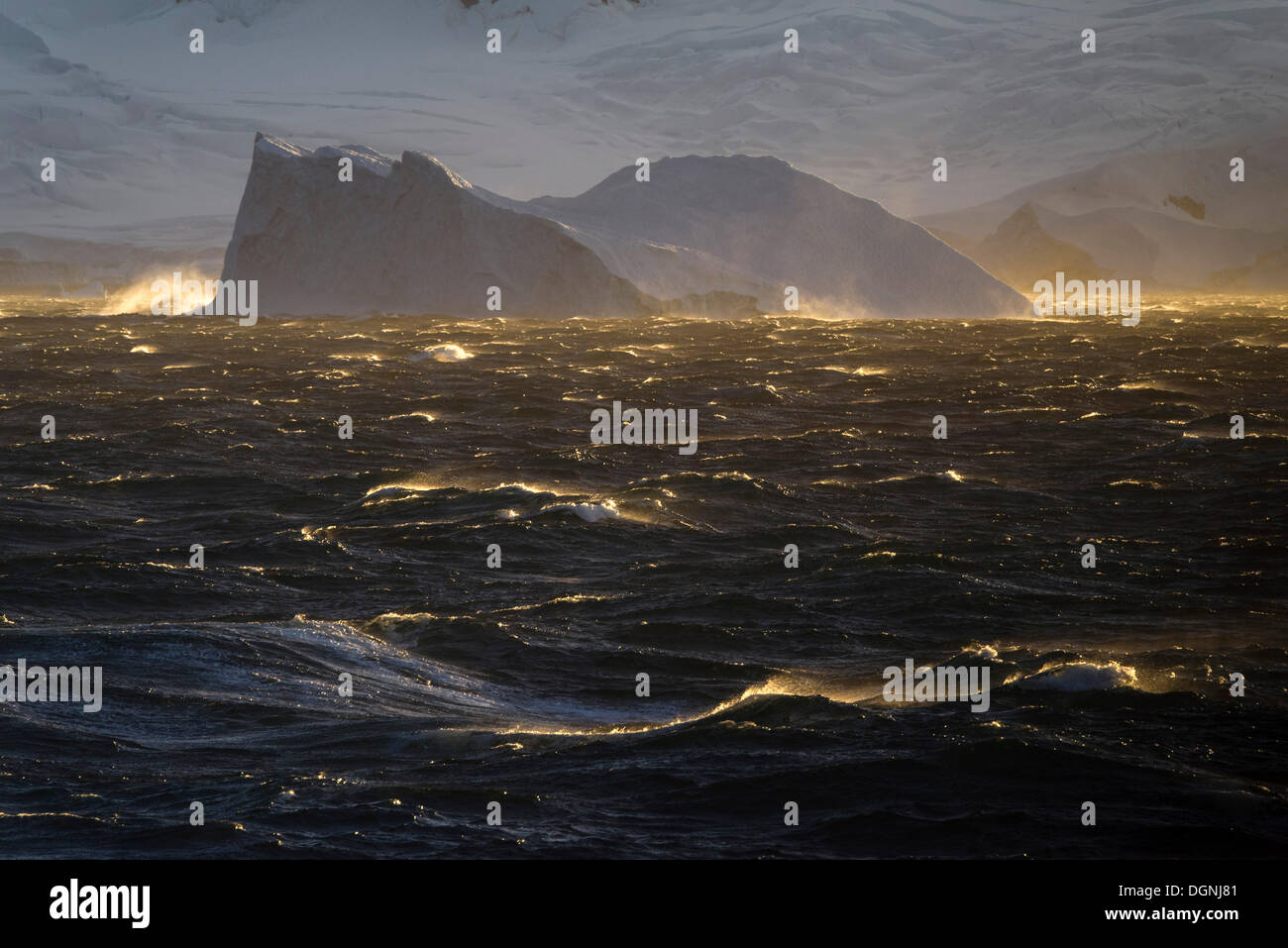Iceberg e il mare tempestoso nella luce della sera, Buttler passaggio, Danco Costa, Penisola Antartica, Antartide Foto Stock