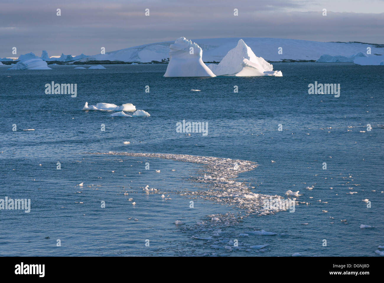 Iceberg galleggianti in stretto Penola, Penisola Antartica, Antartide Foto Stock