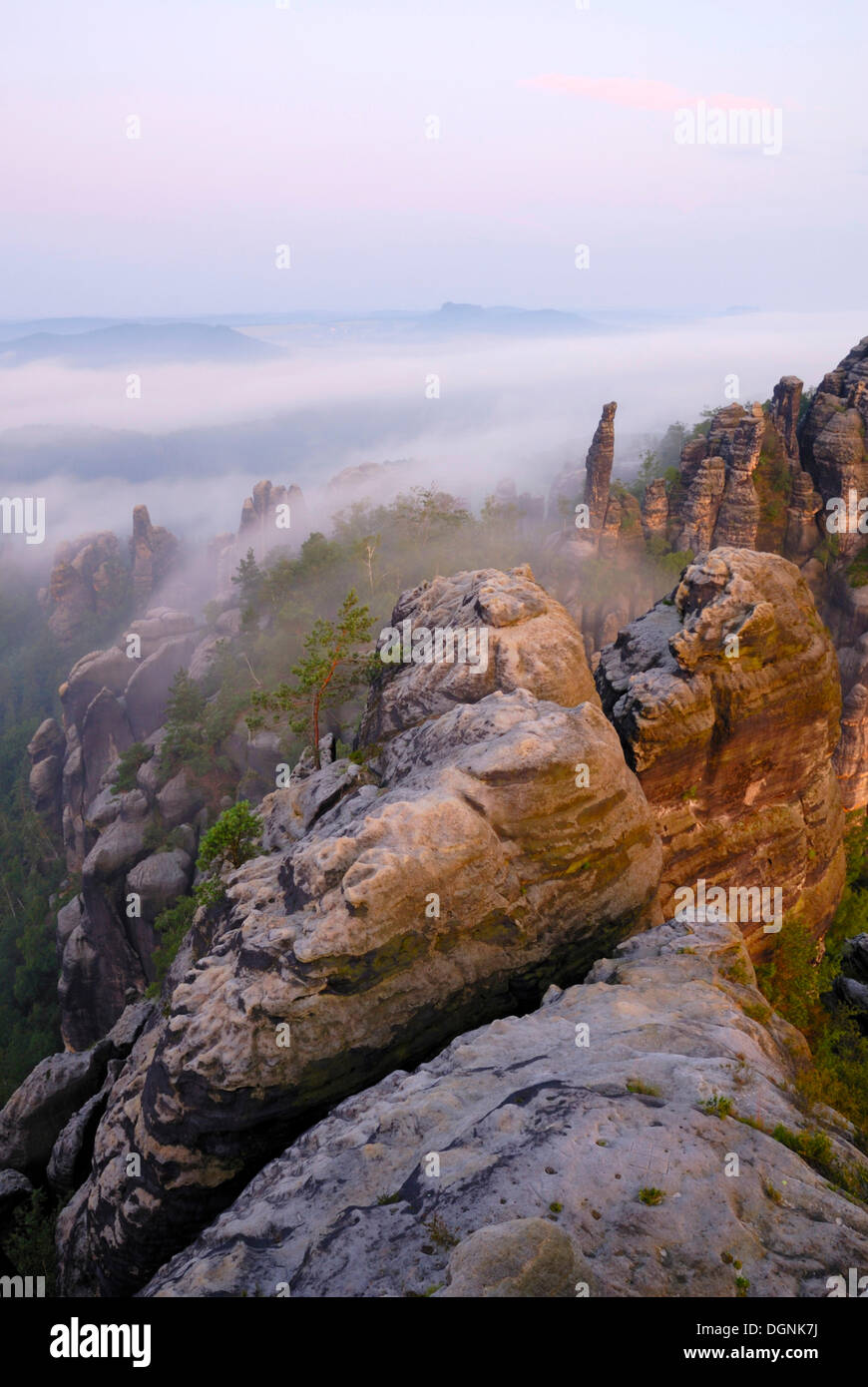 Nebbia di mattina fino al fiume Elba visto dalla Schrammsteine formazione di roccia, Svizzera Sassone, Sassonia Foto Stock