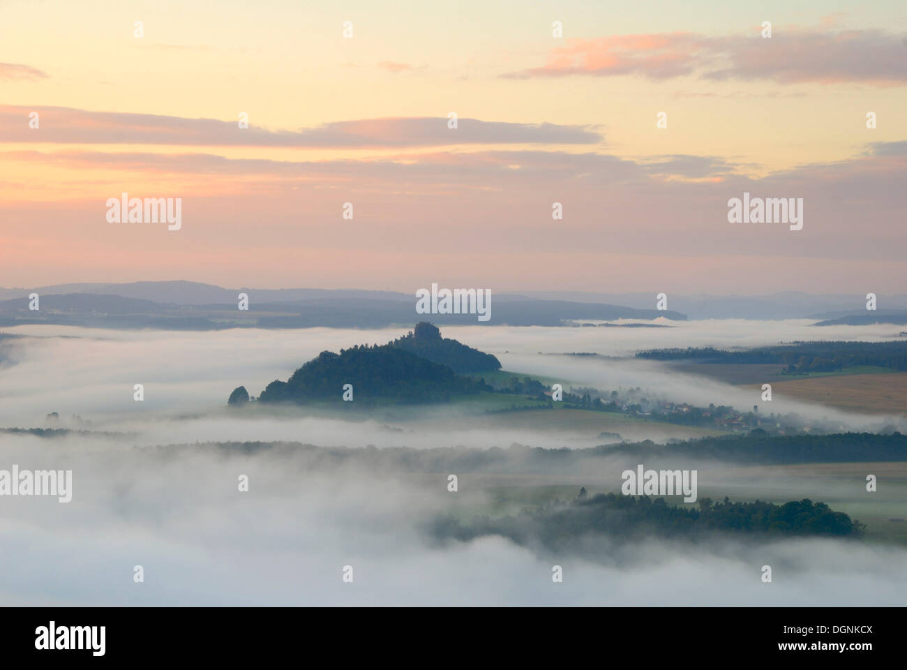 La nebbia sul fiume Elba a sunrise, Svizzera Sassone, Sassonia Foto Stock