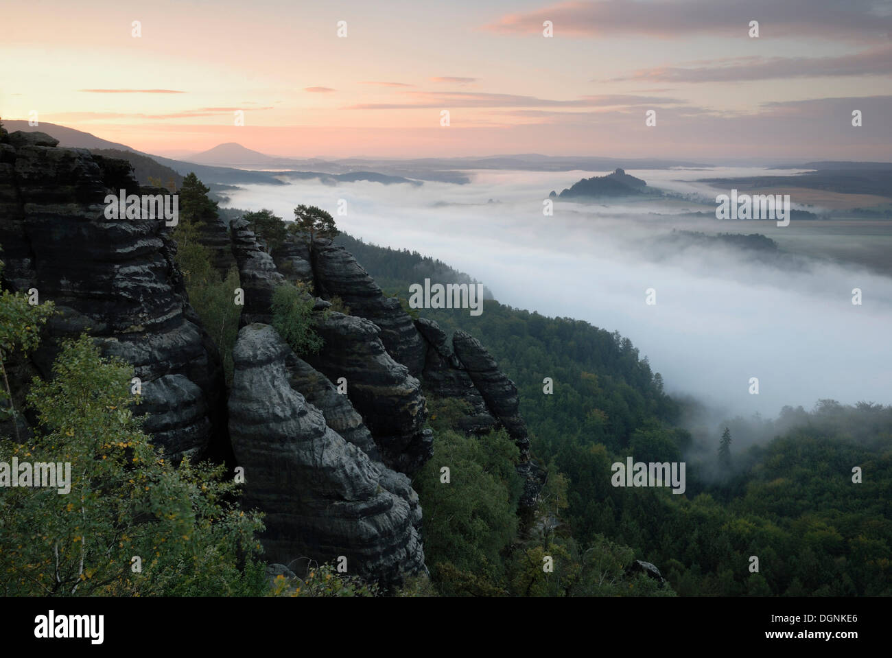 Dawn e la nebbia di mattina sul fiume Elba, Svizzera Sassone, Sassonia Foto Stock