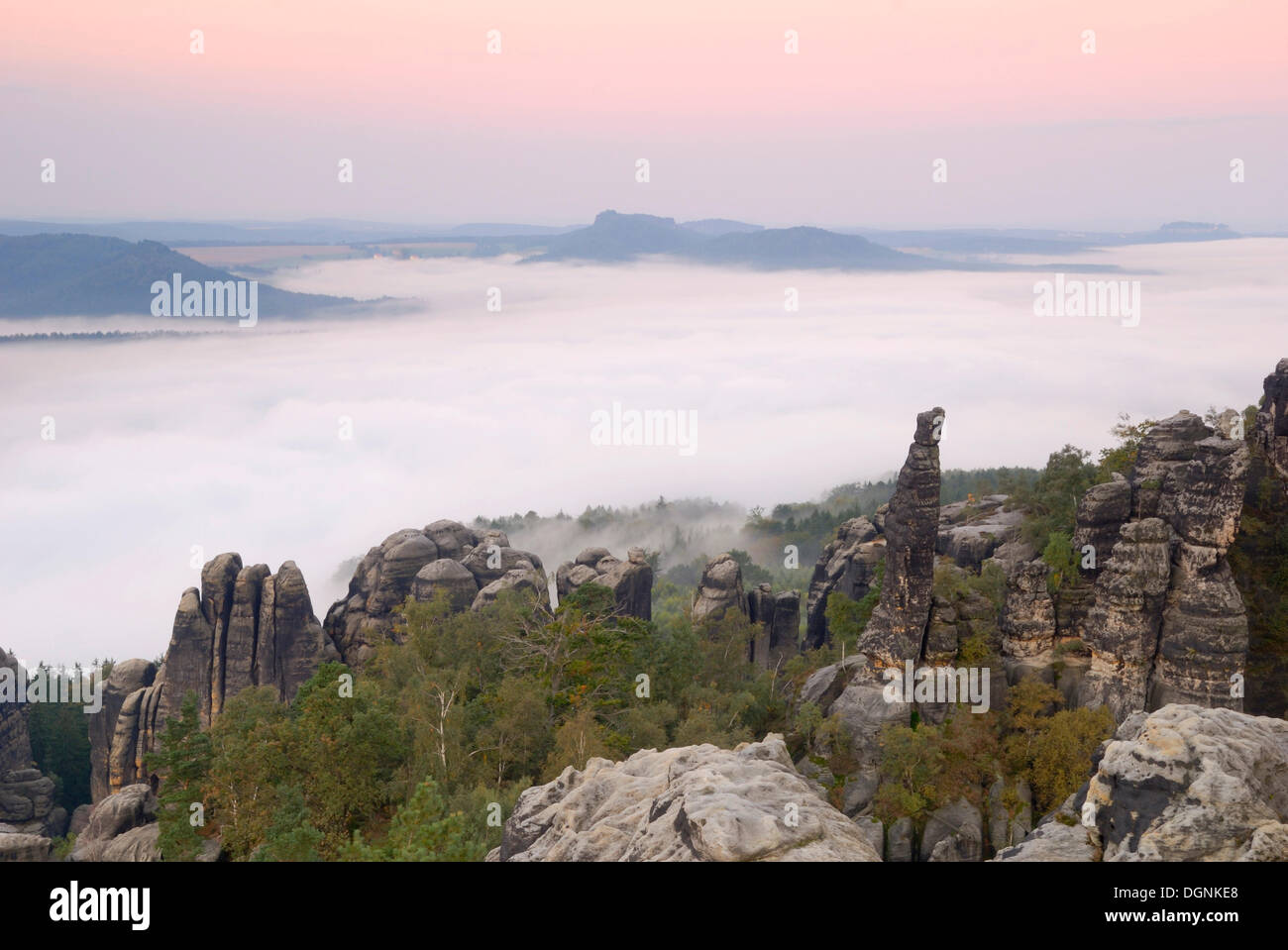 Dawn e la nebbia di mattina sul fiume Elba, Svizzera Sassone, Sassonia Foto Stock