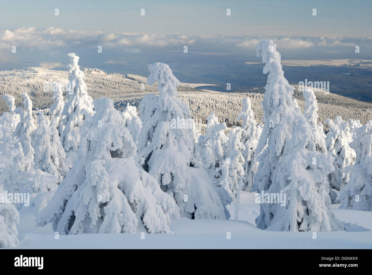 Paesaggio invernale sul Brocken mountain, Harz, Sassonia-Anhalt Foto Stock