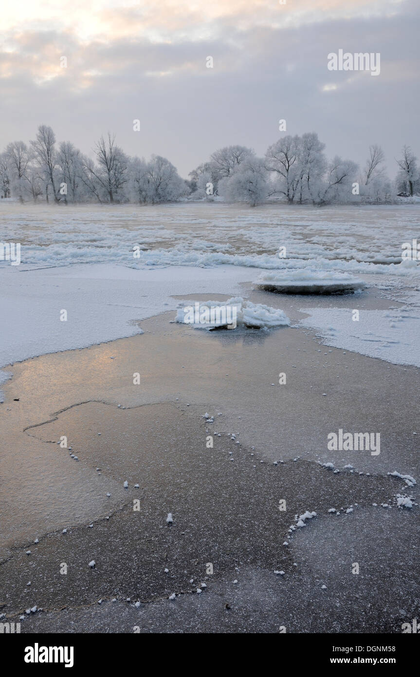 Neve e ghiaccio sul fiume Elba in un freddo inverno mattina, vicino Dessau-Rosslau, Sassonia-Anhalt Foto Stock