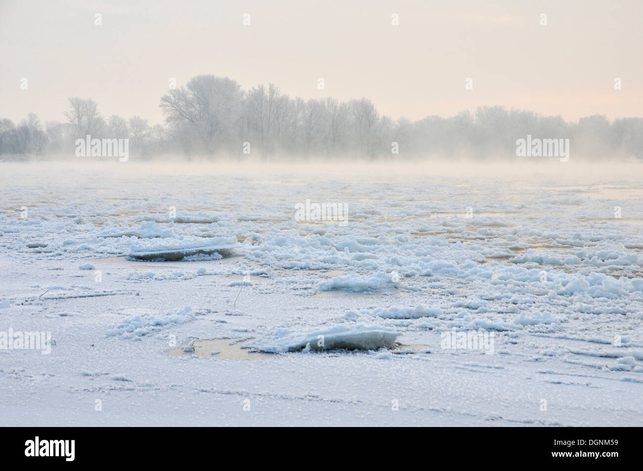 Neve e ghiaccio sul fiume Elba in un freddo inverno mattina, vicino Dessau-Rosslau, Sassonia-Anhalt Foto Stock