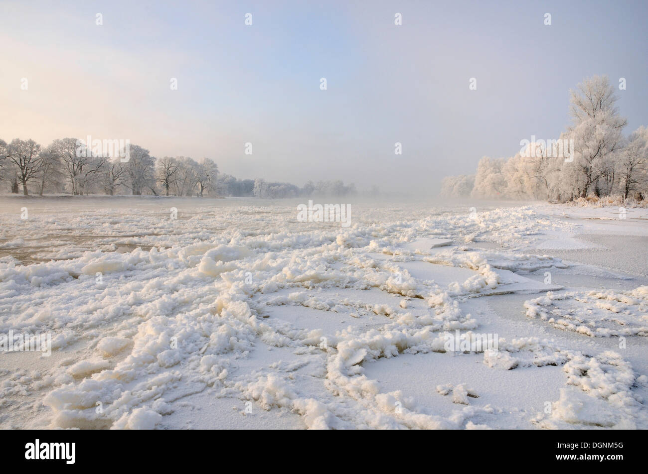 Neve e ghiaccio sul fiume Elba, vicino Dessau-Rosslau, Sassonia-Anhalt Foto Stock
