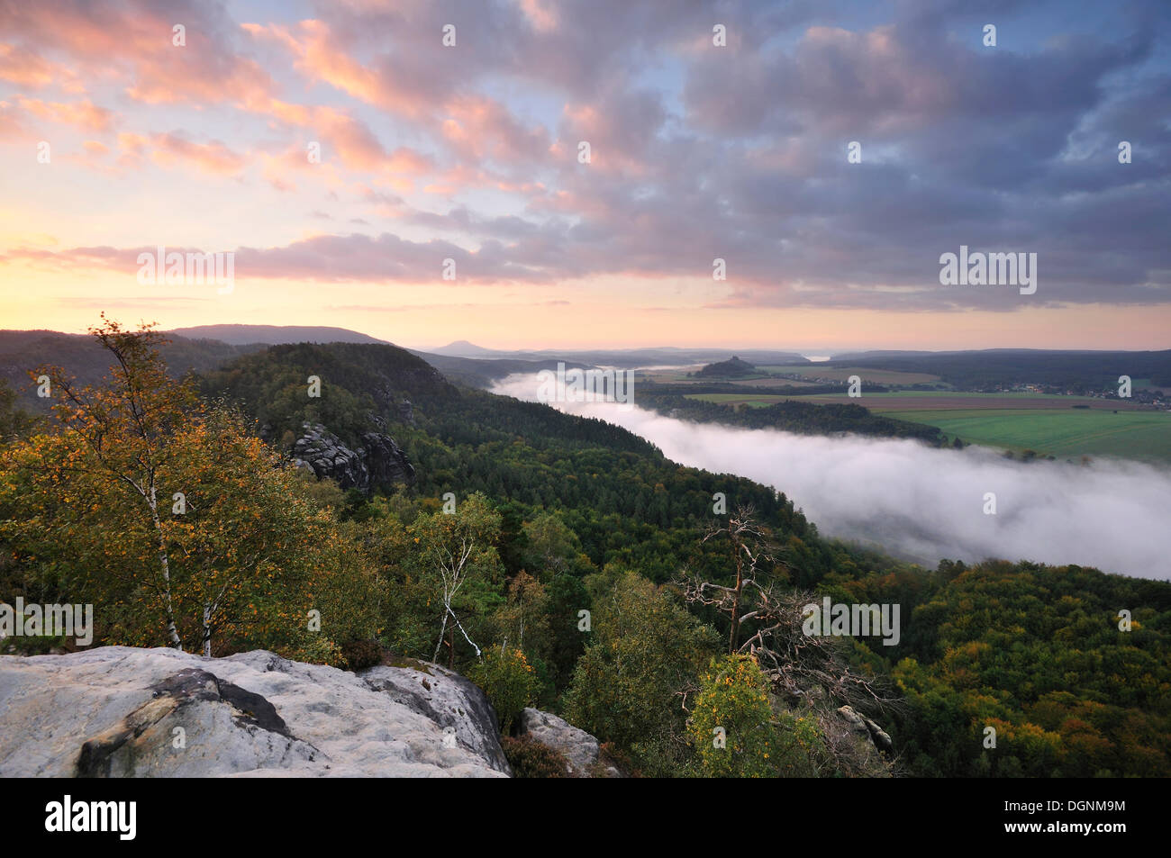 Vista da rocce Schrammsteine sulla valle dell'Elba verso Zirkelstein e Kaiserkrone in autunno a sunrise Foto Stock
