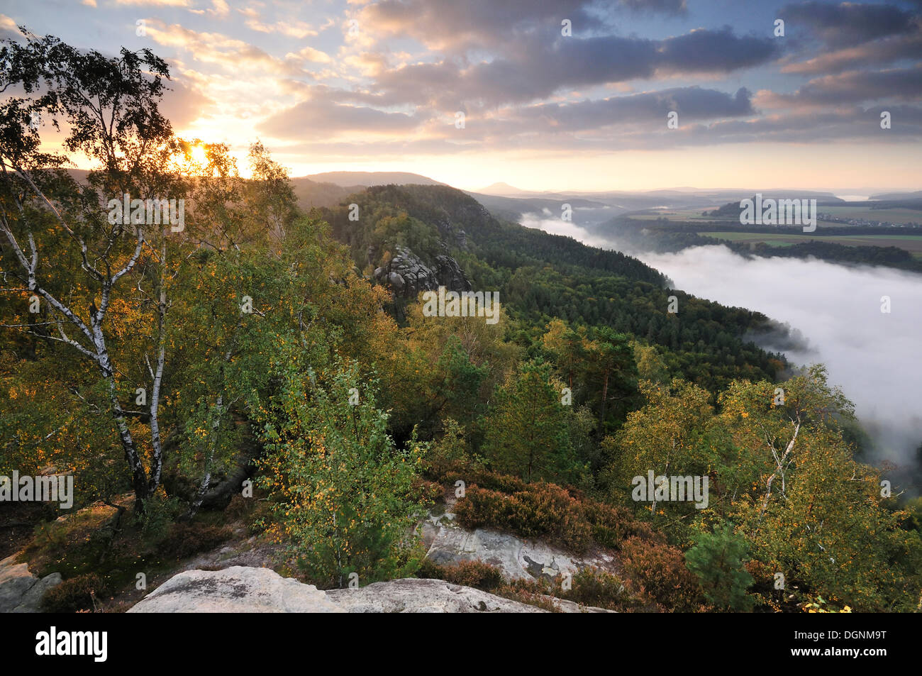 Vista da rocce Schrammsteine sulla valle dell'Elba verso Zirkelstein e Kaiserkrone in autunno a sunrise Foto Stock