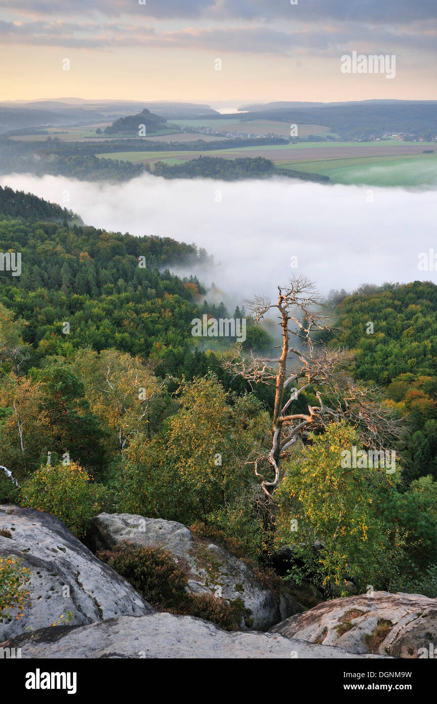 Vista da rocce Schrammsteine sulla valle dell'Elba verso Zirkelstein e Kaiserkrone in autunno a sunrise Foto Stock