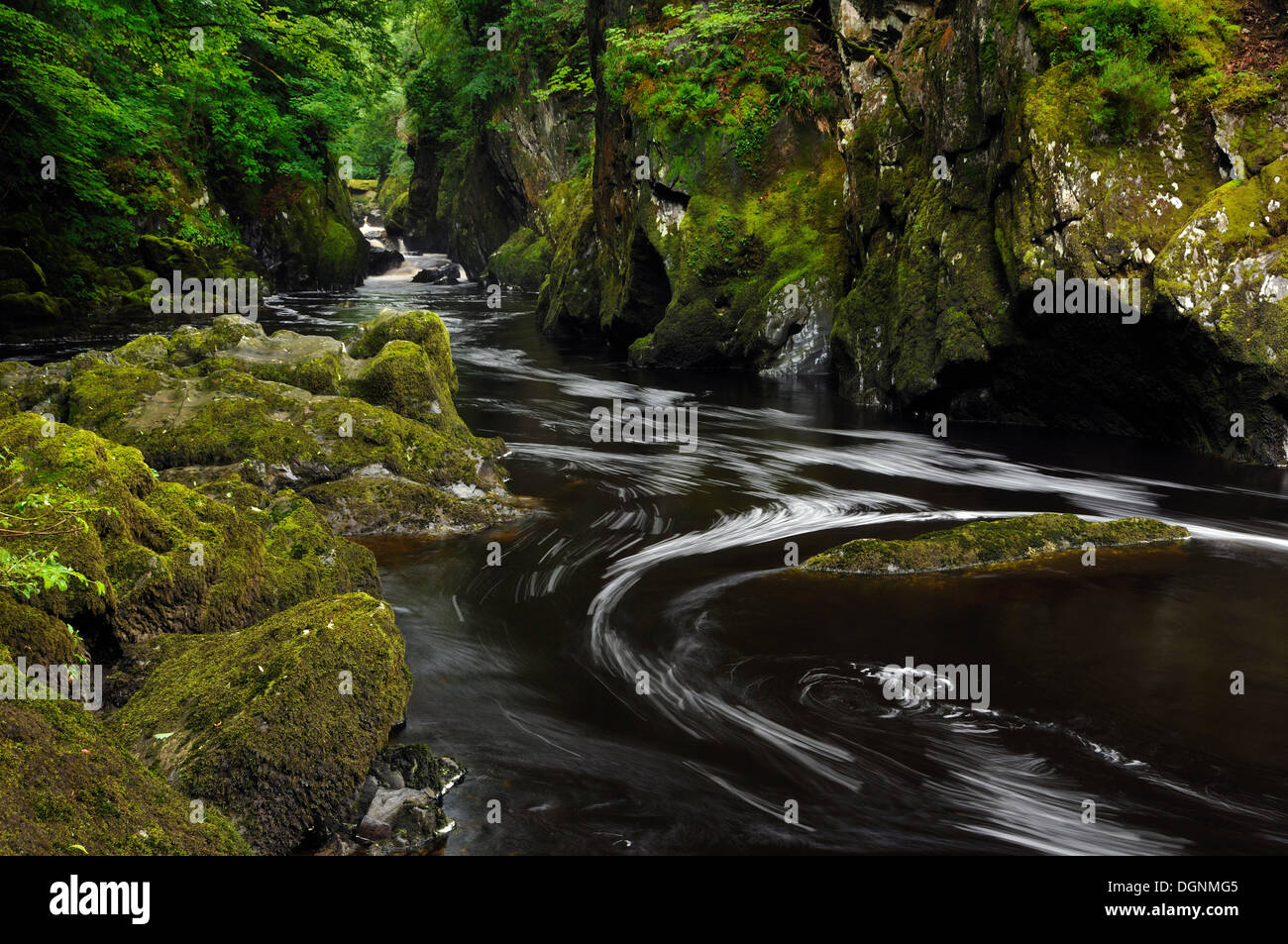 Fiume Llugwy o Afon Llugwy, Fairy Glen Gorge, Betws-y-Coed, Wales, Regno Unito Foto Stock