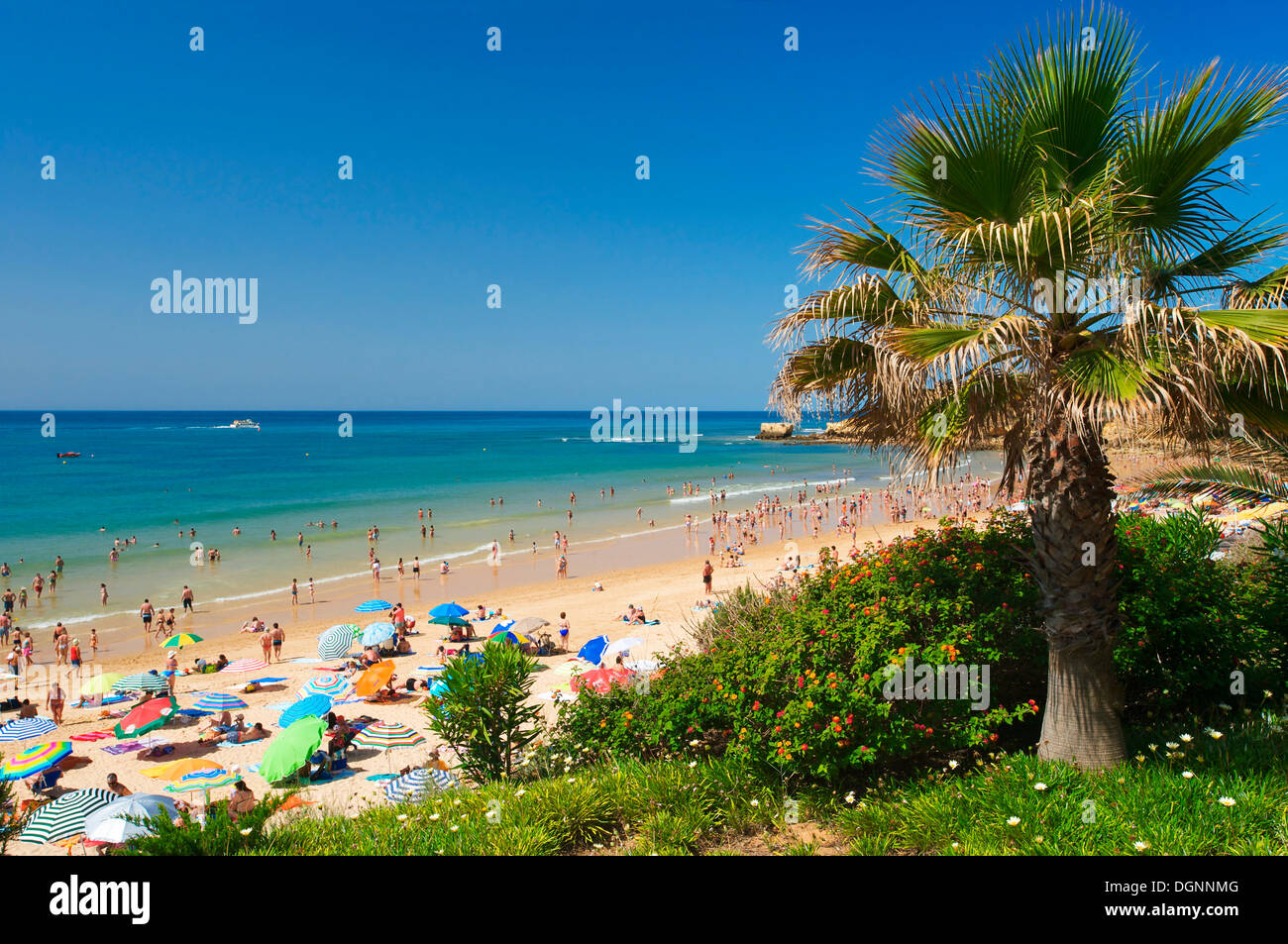 Santa Eulalia, Algarve, Portogallo, Europa Foto Stock