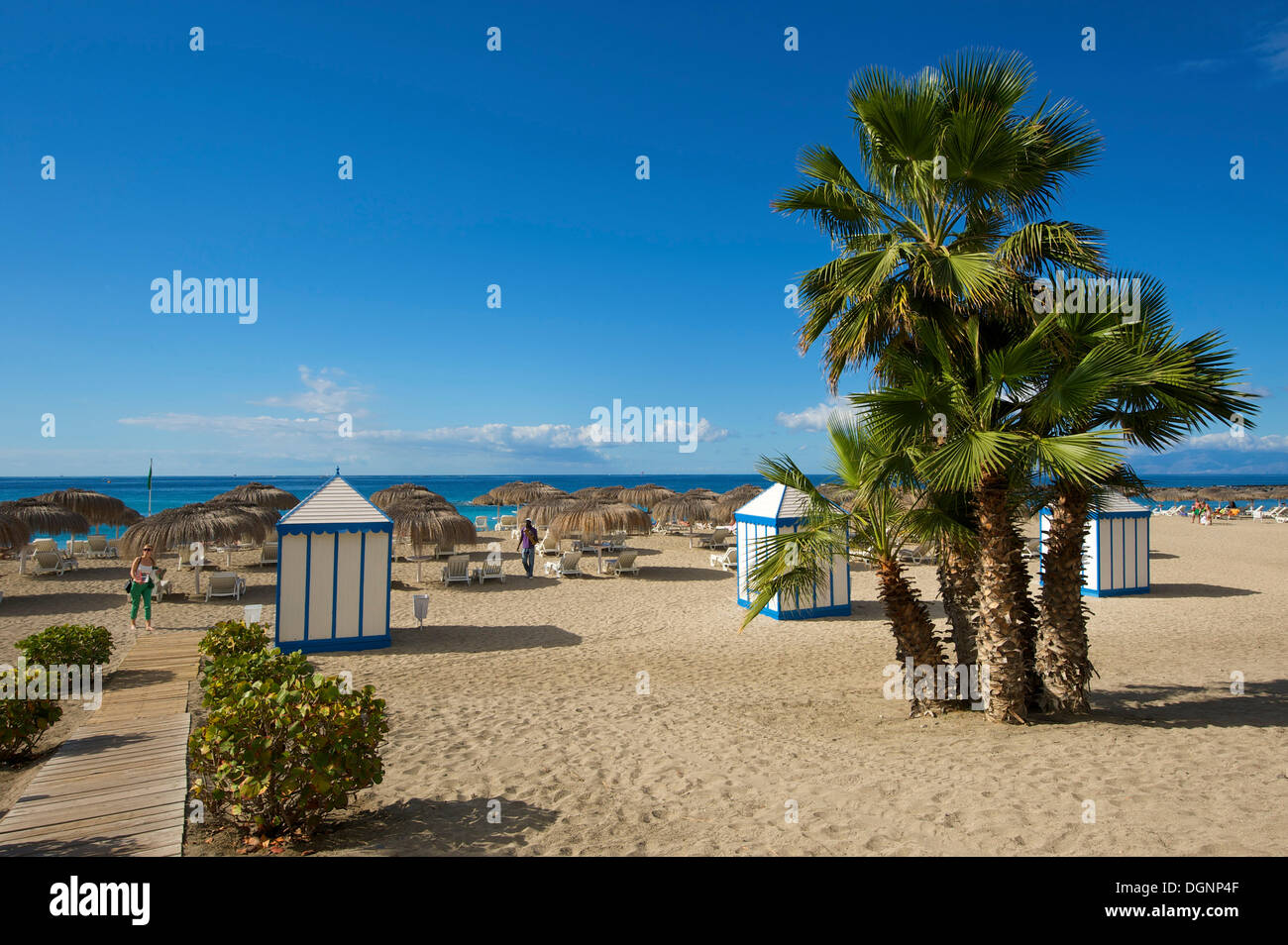 Playa del Duque, Costa Adeje, Tenerife, Isole Canarie, Spagna, Europa Foto Stock