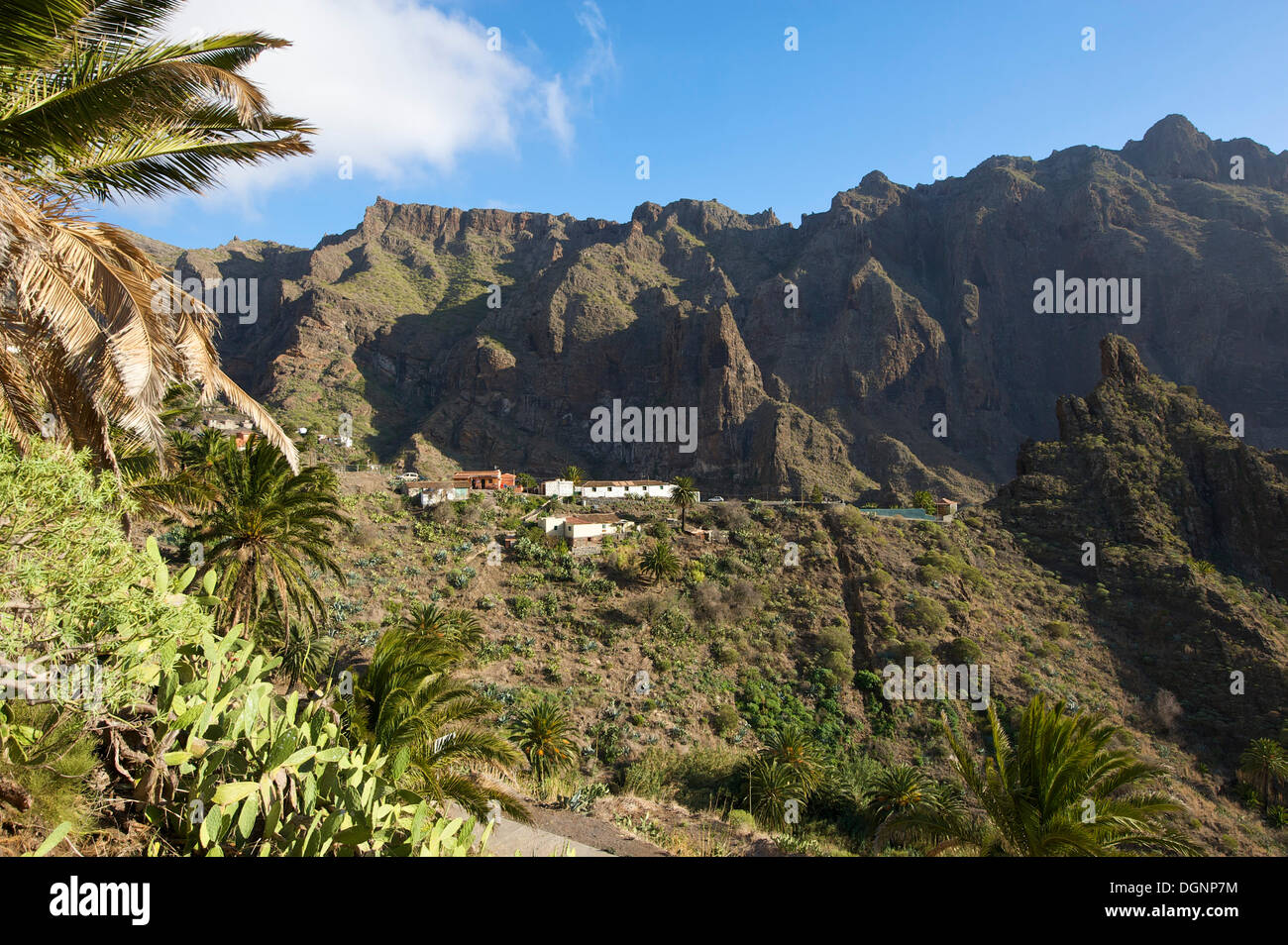 Masca, Tenerife, Isole Canarie, Spagna, Europa Foto Stock