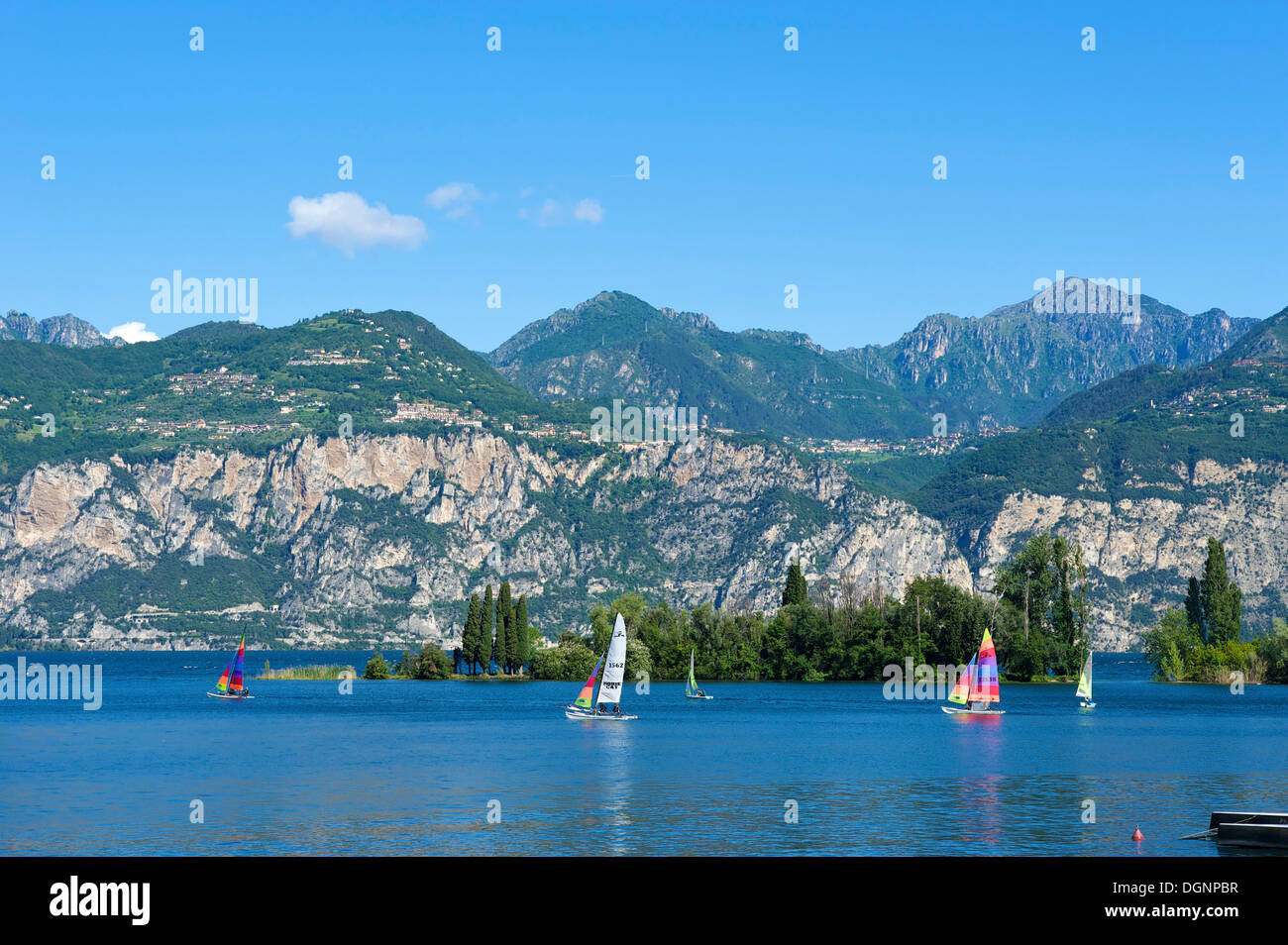 Barche a vela a Malcesine, Lago di Garda, Italia, Europa Foto Stock