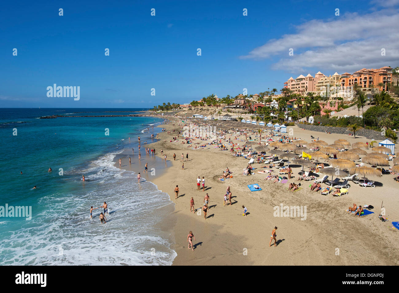 Playa del Duque, Costa Adeje, Tenerife, Spagna, Europa Foto Stock