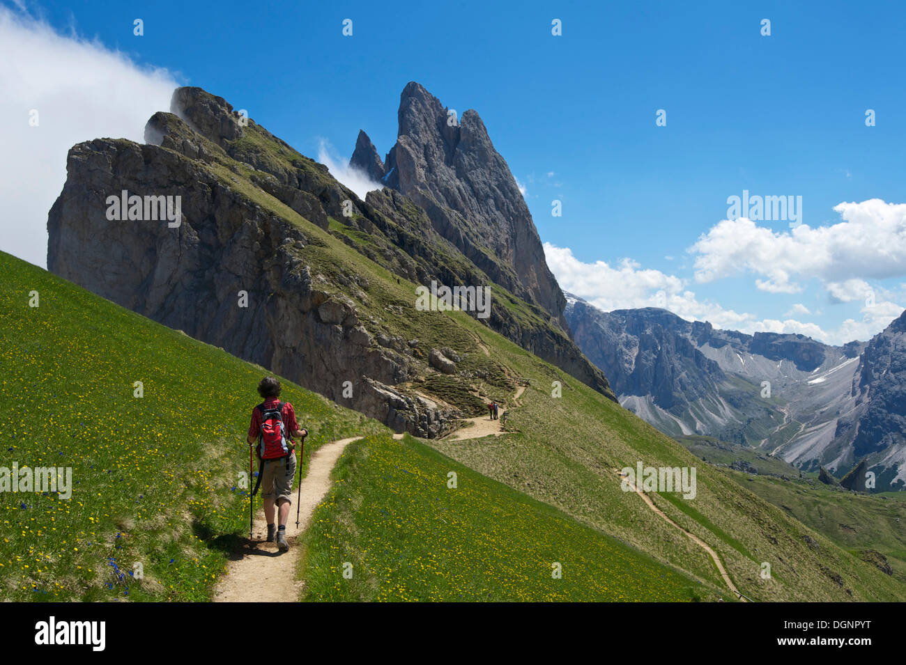 Panascharte Mountain, Odle montagne delle Dolomiti, Seceda, Grödnertal, Alto Adige Provincia, Trentino-Alto Adige, Italia Foto Stock