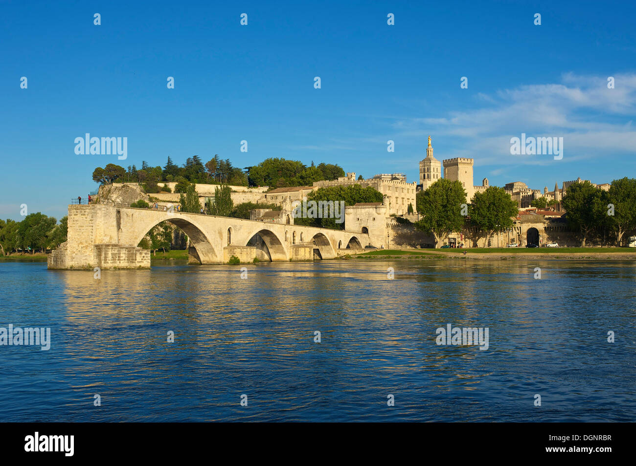 Pont Saint-Benezet ponte sul fiume Rodano, Avignone, Provenza, regione Provence-Alpes-Côte d'Azur, in Francia Foto Stock