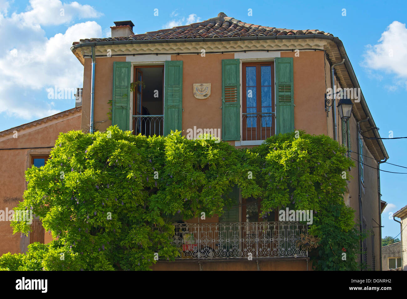 Vecchia casa coperte di wisteria o wysteria, Riez, Provenza, regione Provence-Alpes-Côte d'Azur, in Francia Foto Stock