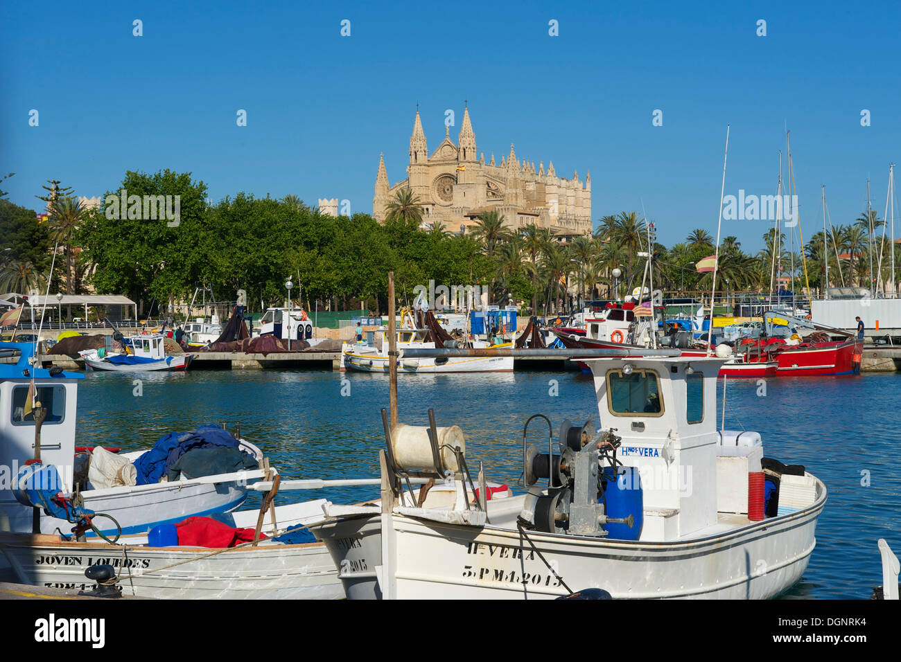 Cattedrale La Seu e il porto di pesca, Palma de Mallorca, Maiorca, isole Baleari, Spagna Foto Stock